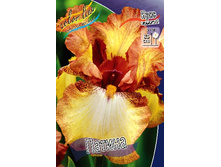 95,3���. ���� ���������� ������(�������� ���� �� 2 ��., ����������� ����� 1��.).jpg