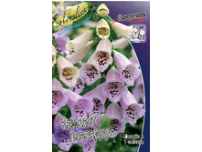 107���. ����������� ������� ��������(�������� ���� �� 1 ��., ����������� ����� 1��.).jpg