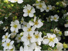 �������� ���� ����-122.jpg