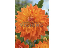 91,2���. �������� ��� ������ ������(�������� ���� �� 1 ��., ����������� ����� 1��.)���16.jpg