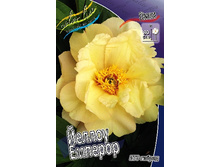 1175,2���. ���� ������ ������� (���)(�������� ���� �� 1 ��., ����������� ����� 1��.).jpg