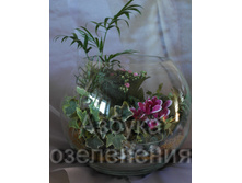 ��������� 1-15.jpg