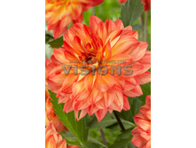 94���. �������� ����� ������(�������� ���� �� 1 ��., ����������� ����� 1��.)���16.jpg