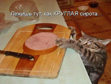 ������ ��� ��� ������� ������ ...