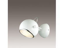 2903-1W.3623,9	���