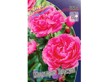 184,2���. ���� �������� ������(�������� ���� �� 1 ��., ����������� ����� 1��.).jpg