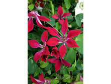 178,87���. �������� ������� �����(�������� ���� �� 3 ��., ����������� ����� 1��.).jpg