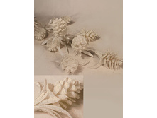 11/0068P ����� � �������