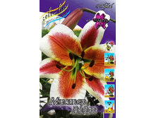 41,72���. ����� ������ ����(�������� ���� �� 5 ��., ����������� ����� 1��.).jpg