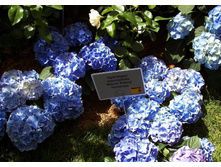 ��������� ������ ����� 141