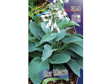 188,3���. ����� ��� ����(�������� ���� �� 1 ��., ����������� ����� 1��.).jpg