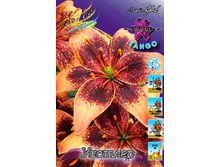 32,2���. ����� �������(�������� ���� �� 5 ��., ����������� ����� 1��.).jpg