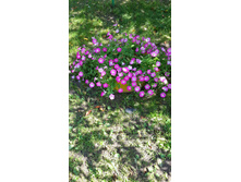 20150711 140719.jpg