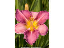 118,6���. �������� ������ �����(�������� ���� �� 1 ��., ����������� ����� 1��.)���16.jpg