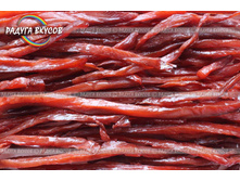 ������� (������� <<�������>>)