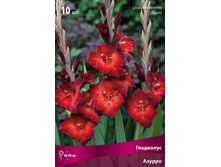 ��������� ������� ������.jpg