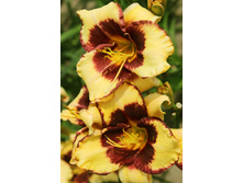 165,1���. �������� ������ �� ������(�������� ���� �� 1 ��., ����������� ����� 1��.).jpg