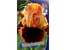 95,3���. ���� ���������� ������ ������(�������� ���� �� 2 ��., ����������� ����� 1��.).jpg