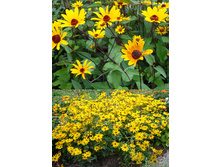 118,6���. ��������� ������ �����(�������� ���� �� 1 ��., ����������� ����� 1��.).jpg