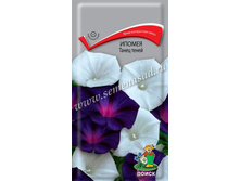 ������ ����� �����	, �������� -	5	��, ���� 13,20	+17%