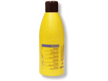 ������� SanoTint �� �������