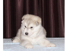 ��� 1-28 ��.jpeg