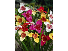 8,38���. �������� �����(���������� ������ ������ ���������� �� 10 ��.).jpg