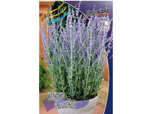 130,3���. ��������� ���� �����(�������� ���� �� 1 ��., ����������� ����� 1��.).jpg