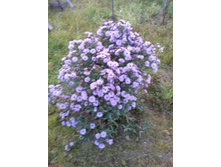 20151006 063650.jpg