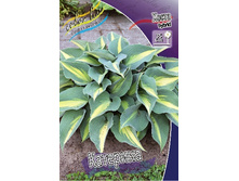 160,1���. ����� ��������(�������� ���� �� 1 ��., ����������� ����� 1��.).jpg