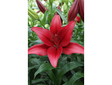 20,98���. ����� ��� ���(�������� ���� �� 5 ��., ����������� ����� 1��.)���16.jpg