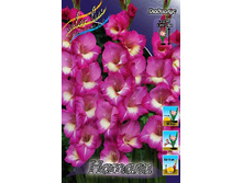 8,18���. ��������� ������(���������� ������ ������ ���������� �� 8 ��.).jpg