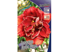 196,6���. �������� ������� ���� ����(�������� ���� �� 1 ��., ����������� ����� 1��.).jpg