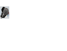 ���������6.png