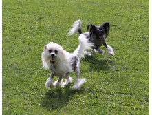 ���� 2015 149a.jpg