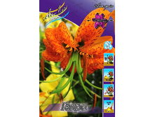 45,18���. ����� �����(�������� ���� �� 5 ��., ����������� ����� 1��.).jpg