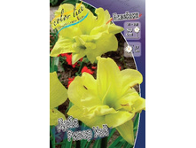 65,15���. �������� ���� ����� ���(�������� ���� �� 2 ��., ����������� ����� 1��.).jpg