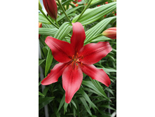 19,3���. ����� ���������(��� 7 ��. ���������� ������ 7 ��.).jpg