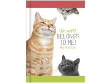 ������-������� �6 160�. �������� ���� 47,40.jpg