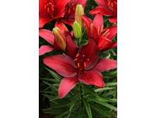 21,9���. ����� ���������(�������� ���� �� 7 ��., ����������� ����� 1��.).jpg