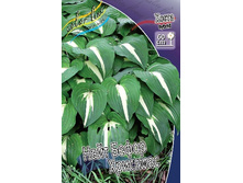 146,8���. ����� ���� ������ ��������(�������� ���� �� 1 ��., ����������� ����� 1��.).jpg