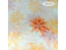 �����-������ Jasmine ������ ZXY001.jpg