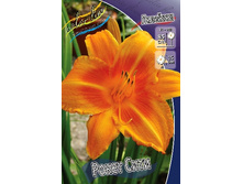 105,4���. �������� ����� ����(�������� ���� �� 1 ��., ����������� ����� 1��.).jpg