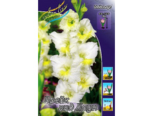 10,38���. ��������� ����� ��� ����(���������� ������ ������ ���������� �� 8 ��.).jpg