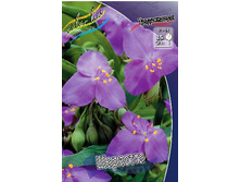 65,15���. ������������ ��������(�������� ���� �� 2 ��., ����������� ����� 1��.).jpg