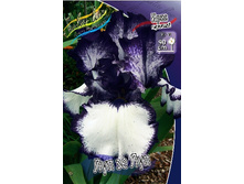 95,3���. ���� ���������� ��� �� ���(�������� ���� �� 2 ��., ����������� ����� 1��.).jpg