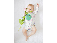 ����� �����