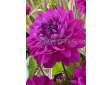 89,4���. �������� ��.�.�������(�������� ���� �� 1 ��., ����������� ����� 1��.)���16.jpg