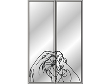 1051-�.jpg