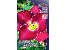 221,5���. �������� ������� �� �����(�������� ���� �� 1 ��., ����������� ����� 1��.).jpg